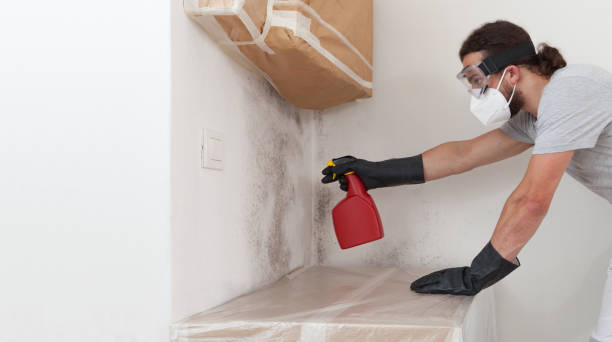 Professional Mold Testing technician working in Medford, MA